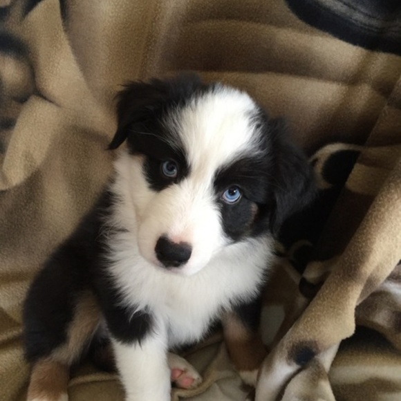 Meet your Posher, Lori - Picture 2 of 5